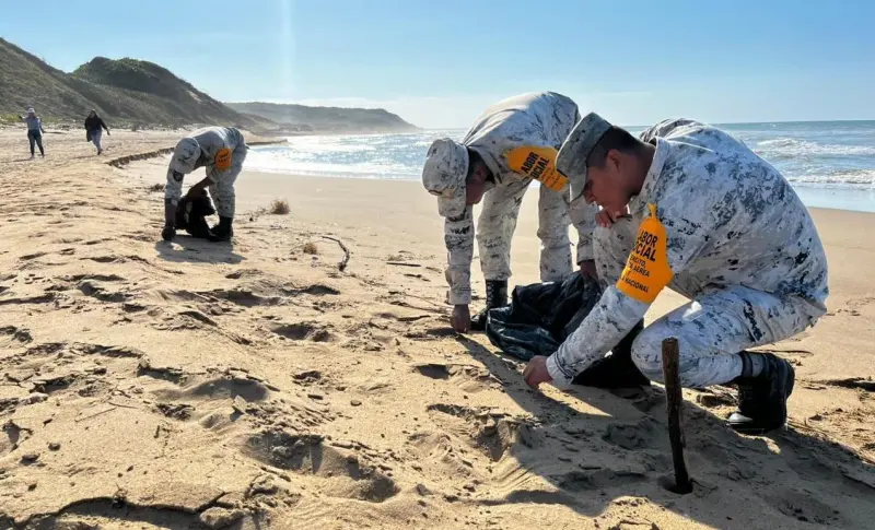Refuerza Guardia Nacional limpieza en Playa de Veracruz