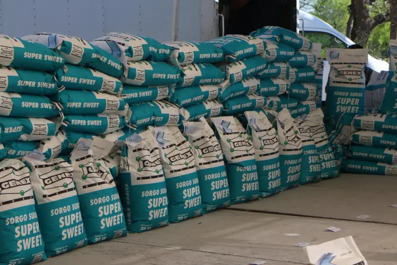 Con subsidio del 50%, entregan semilla y fertilizante para sembrar 700 hectáreas en Piedras Negras