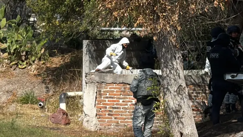 Suman 104 cuerpos localizados en fosas clandestinas en Guanajuato en 2026