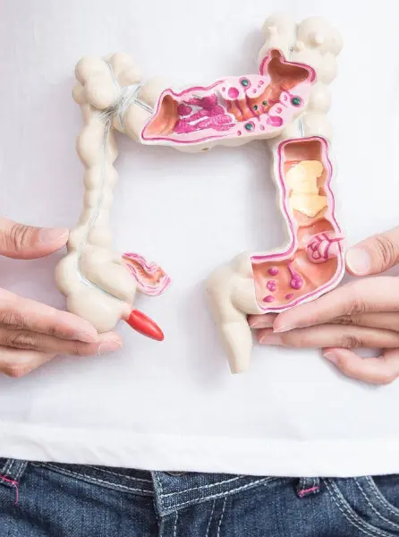 Una proteína advertiría del cáncer