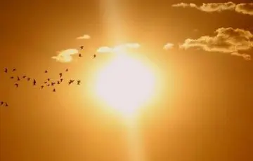 Calor eleva riesgos de golpes de calor y deshidratación en población