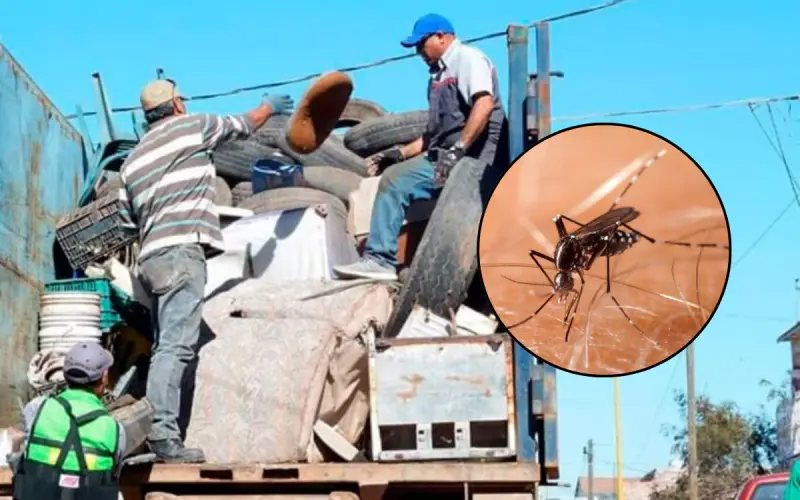 Dan batalla al dengue en CO