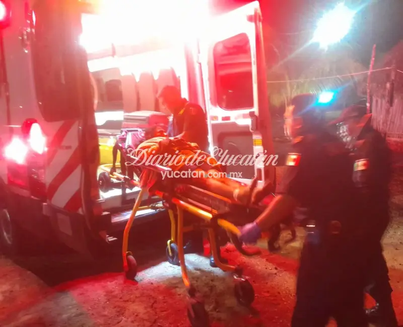 Mujer es atacada por una serpiente en la cocina de su casa en Tizimín