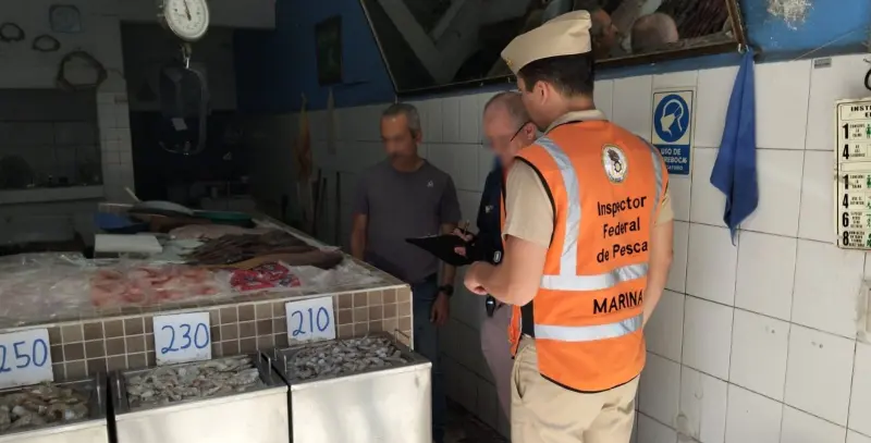 Asegura pescado presuntamente ilegal en Puerto Vallarta