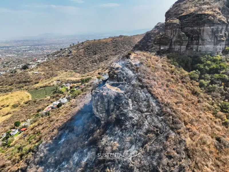 Combaten incendio forestal en cerro La Ventanilla de Tlayacapan