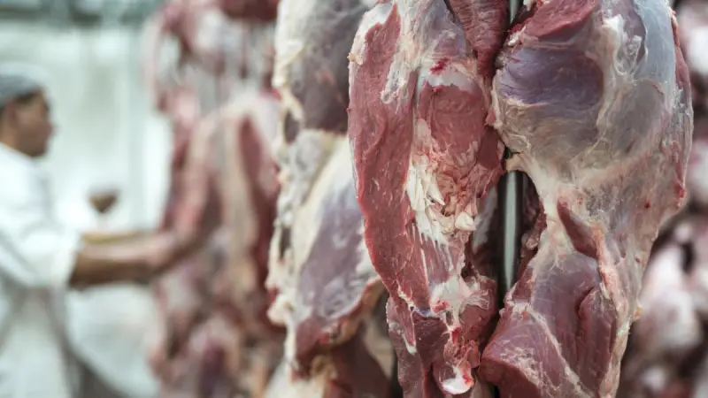 Carne de res sudamericana sufre restricciones en Europa y China
