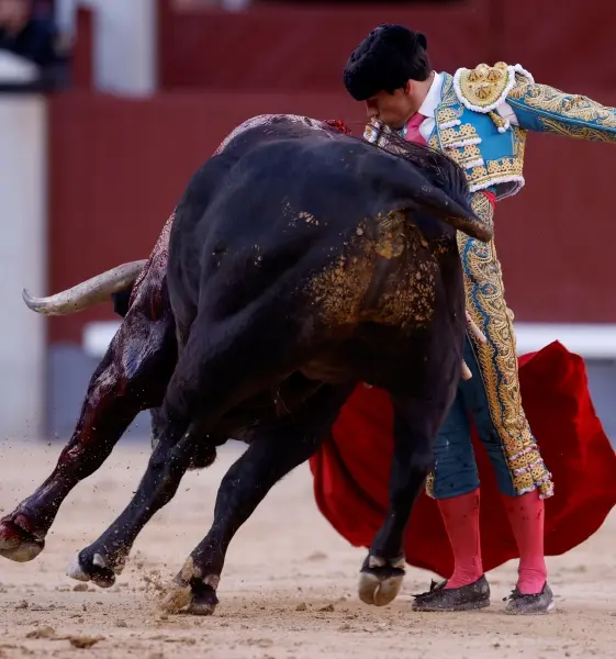 Drama en Las Ventas