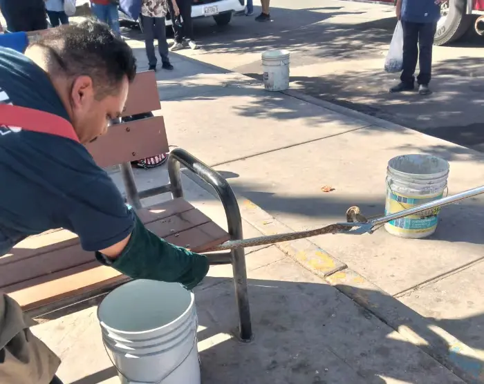 Registran presencia de serpientes en zona urbana