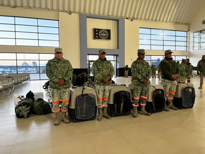 Militares con perros entrenados apoyan búsqueda de mineros en Rosario