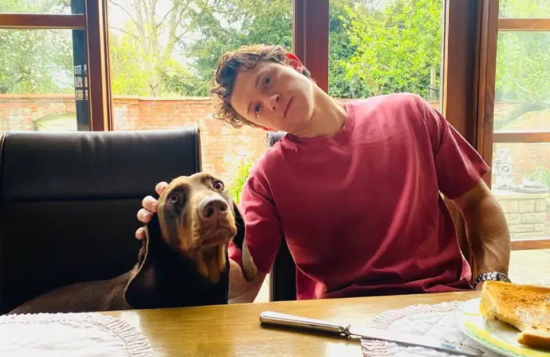 “No me gusta Hollywood, no es para mí”: Tom Holland se sincera sobre la fama y su vida fuera del cine (VIDEO)