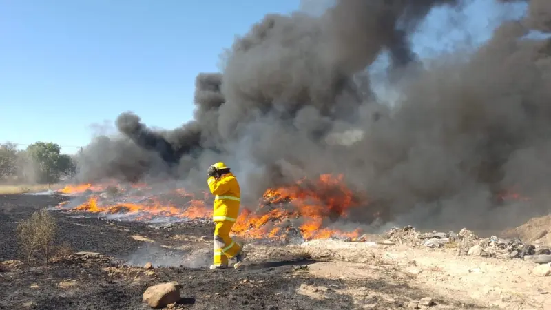 Proponen diputados que municipios participen en combate a incendios