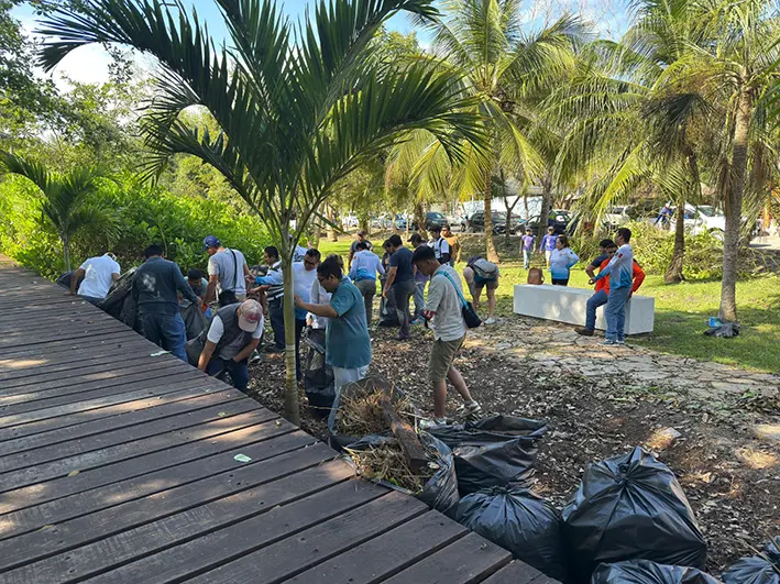 Refuerzan combate contra especies invasoras en Bacalar