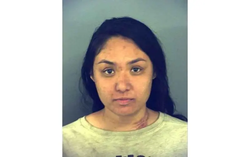 Robó vehículo, huyó de Policía y chocó patrulla