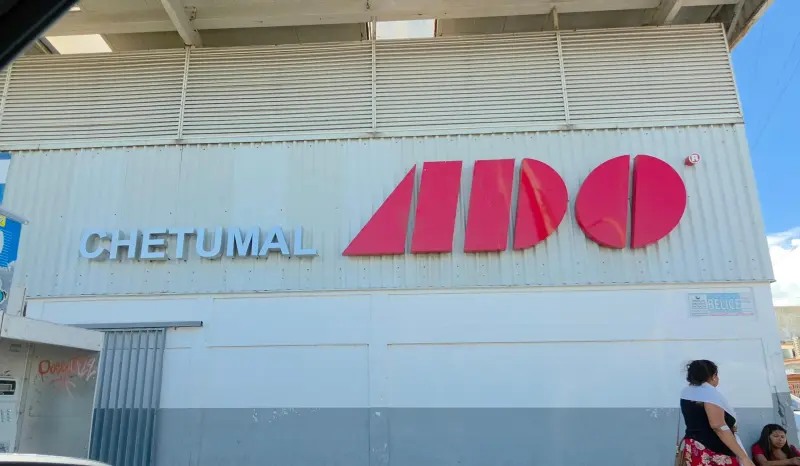 Recomienda ADO Chetumal medidas para viajar con mascotas