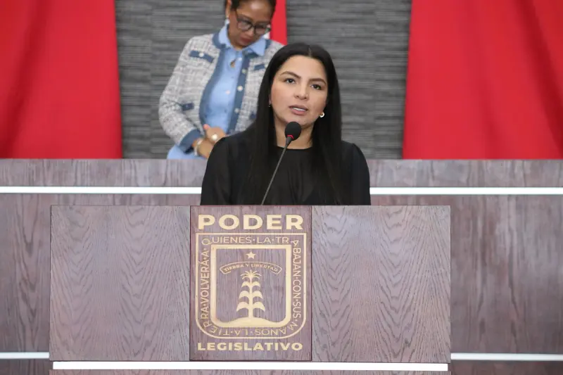 Propone diputada incluir atención psiquiátrica en pago de alimentos