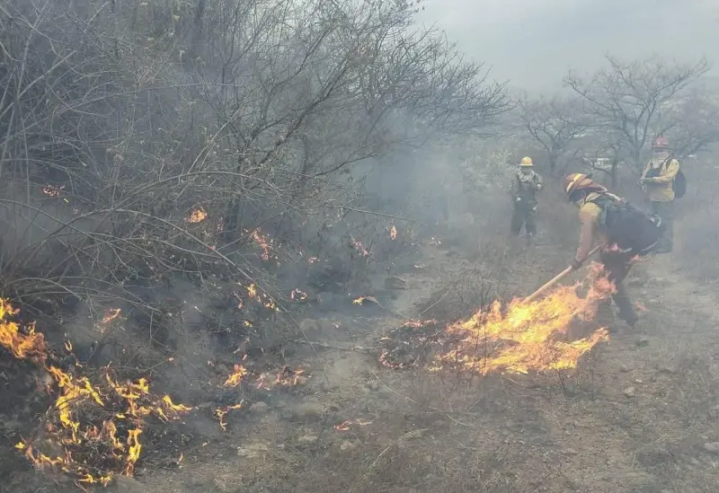 Controlan incendio en Bosque La Primavera
