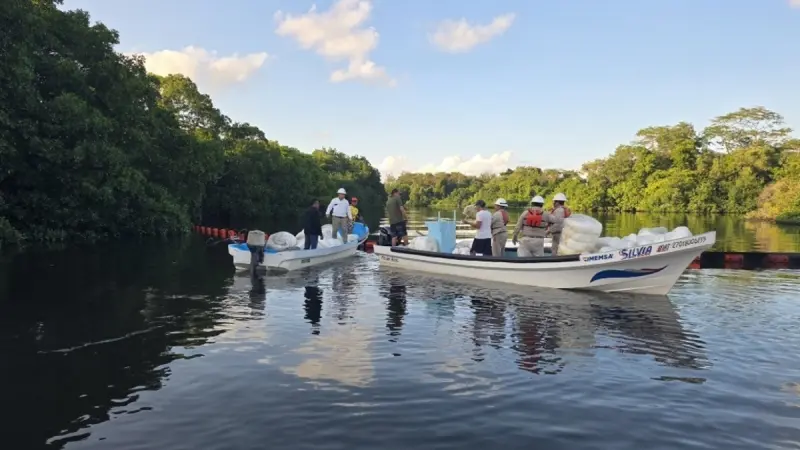Reportan ambientalistas ‘desastre ambiental’ por derrame de petróleo en 630 kms de Golfo de México