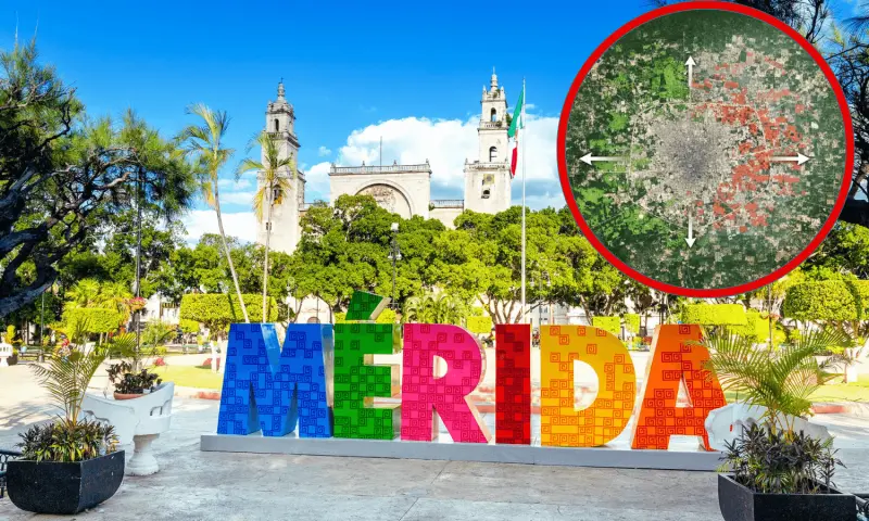 Mérida, refugio de foráneos que huyen del crimen en “un país que vive un baño de sangre”