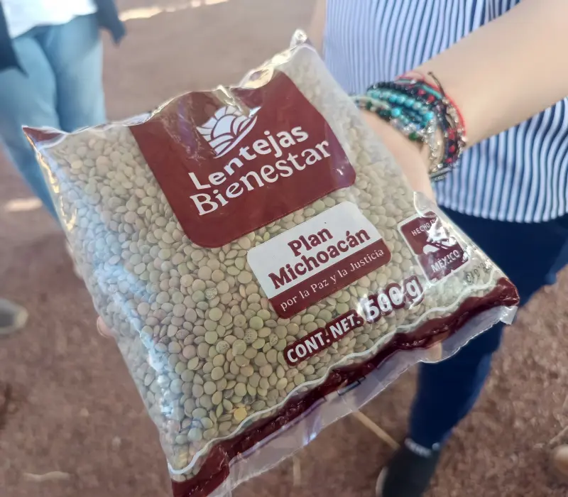 Buscan Indicación Geográfica para la lenteja en Michoacán