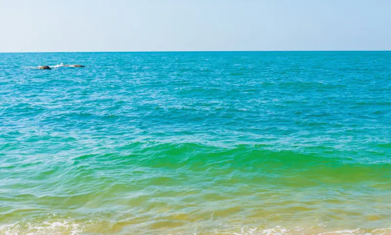 Amenaza ola de calor marina sin precedentes a la costa de California