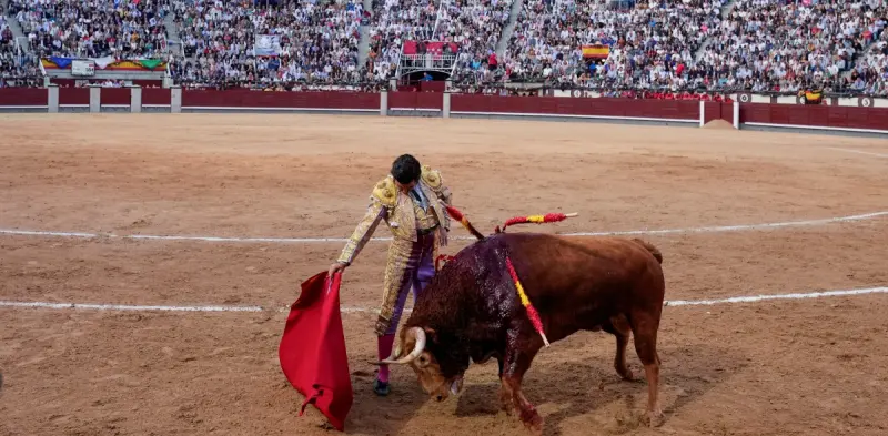 Morante regresa al ruedo sin haberse ido del todo
