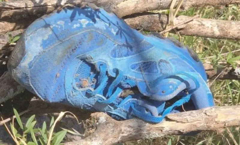 Localizan 2 cuerpos durante jornada de búsqueda en Michoacán