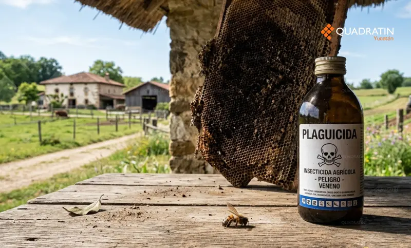 Buscan minimizar el uso de plaguicidas en el campo yucateco