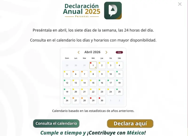 Guía paso a paso para realizar la declaración anual de personas físicas 2025