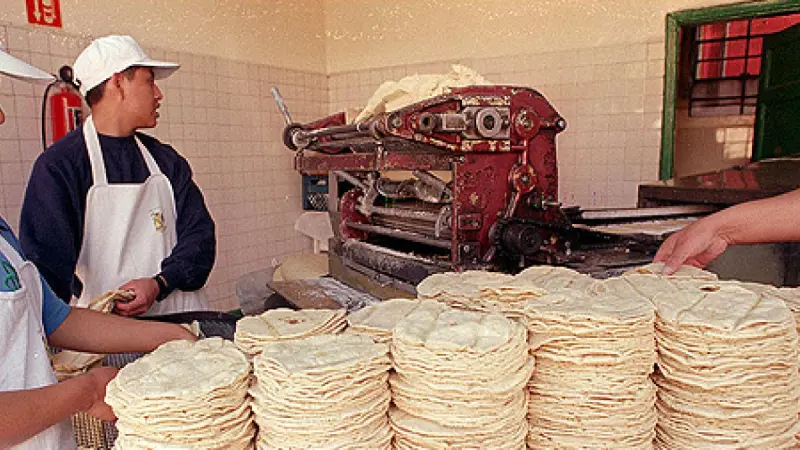 CNT prevé alza de hasta 4 pesos en el kilo de tortillas en la CDMX