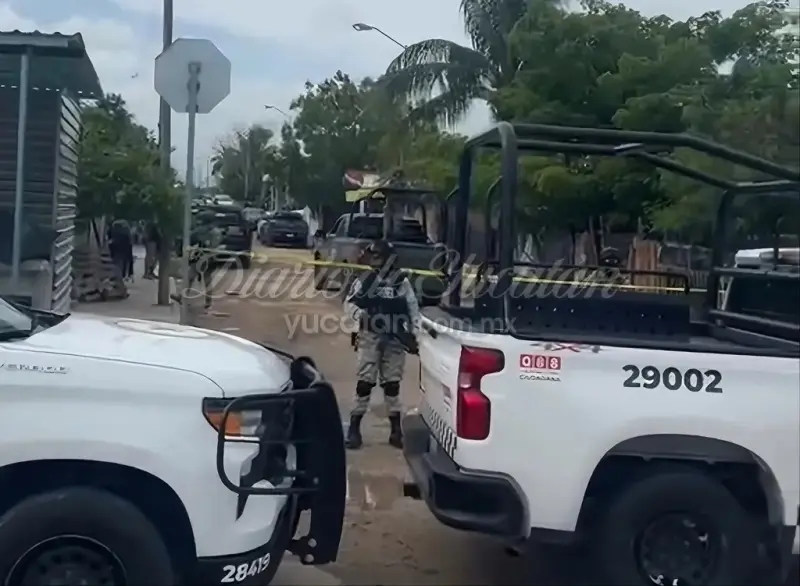 Golpe al narcotráfico en Yucatán: confiscan sustancias con un valor de casi 800 mil pesos