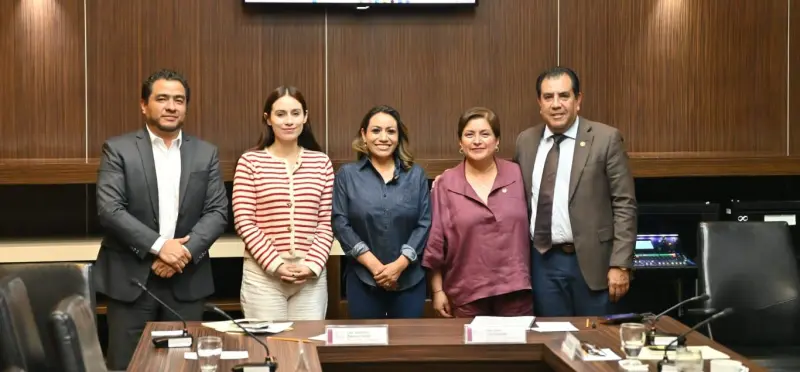 Darán descuentos de 10% en predial por azoteas verdes en Edomex