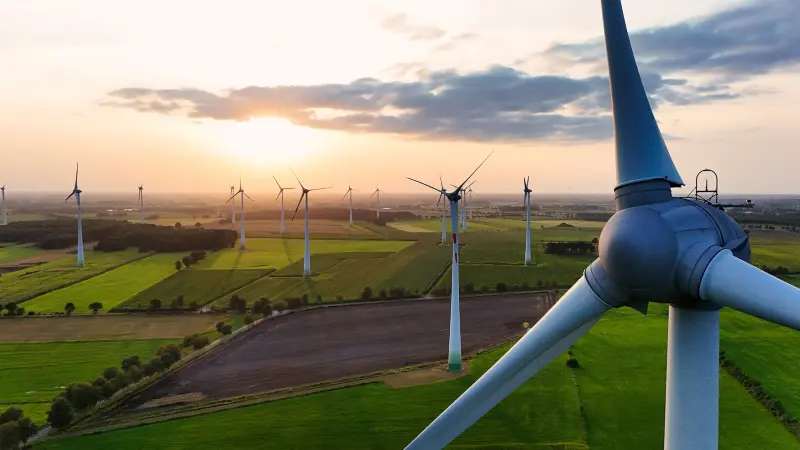 Un enorme potencial, será solo espejismo si no hay acciones correctas