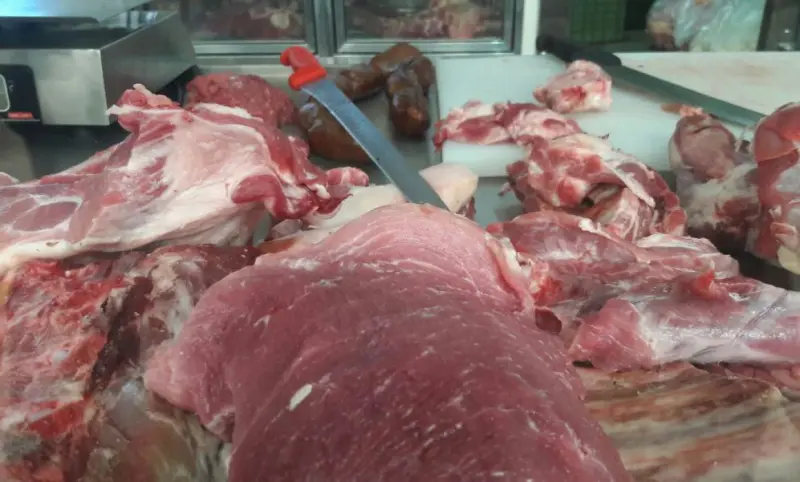 Buscan en SLP prohibir consumo cárnico de especies en riesgo
