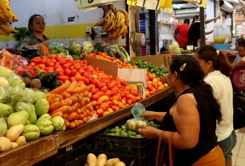 Explican aportes y riesgos de los antioxidantes