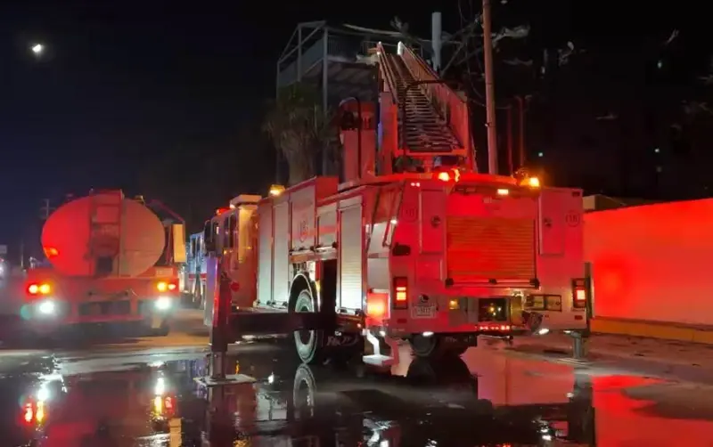 Incendio en palmera alcanza estructura en recreativo Las Anitas