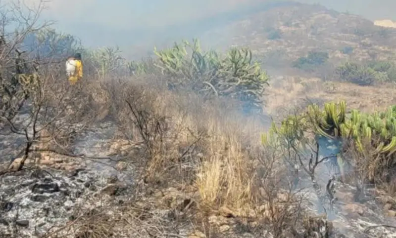 Registra Alfajayucan 49 incendios en lo que va del 2026