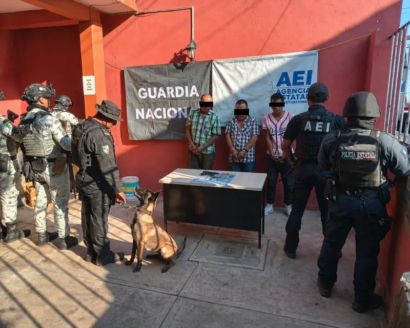 Detienen a 3 en cateos en Cuicatlán; aseguran arma y droga