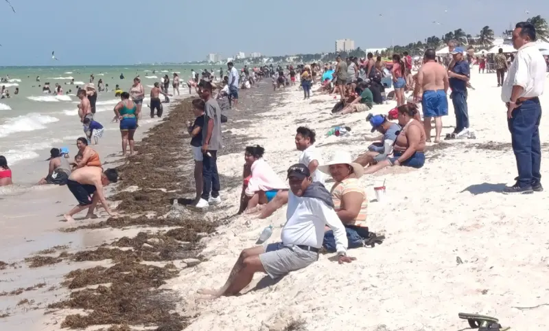 Playas en Yucatán, limpias: pasan normativa para el turismo
