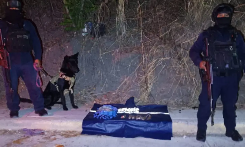 Decomisan paquetes de marihuana en Guerrero