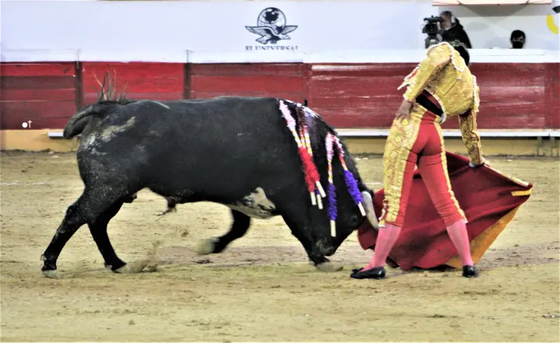 Isaac Fonseca retorna a Texcoco Después de su Faena Meritoria en Madrid