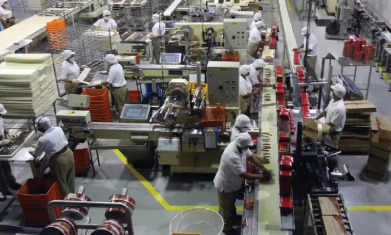 Registró México desaceleración económica de 6 puntos del PIB: Economista