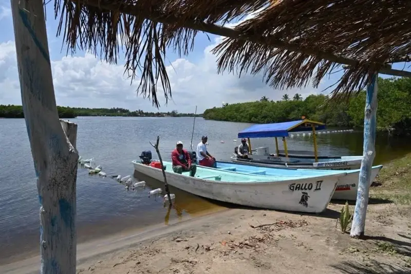 Denuncia EU ilegalidad en pesca y madera de México