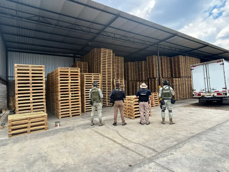 Asegura FGE madera procesada y maquinaria para su transformación