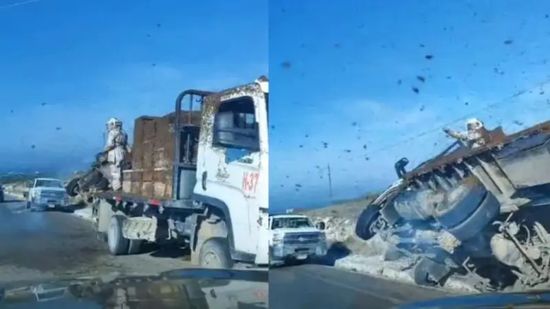 Vuelca camión con varias colmenas en Nuevo León; miles de abejas quedan libres en carretera