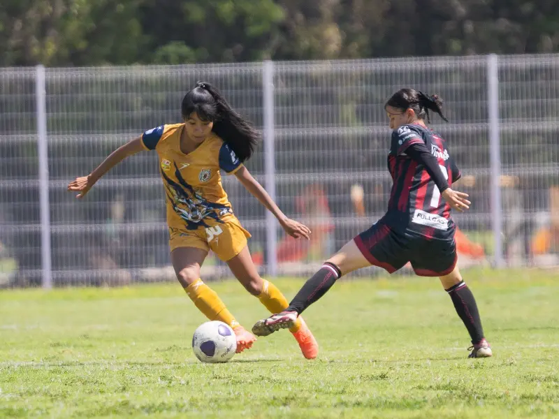 Atlético Morelia UMSNH visita a Tigres de Álica en liga tdp