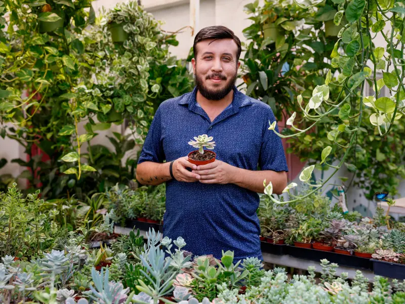 Plantas del desierto, la clave para un jardín resistente en Mexicali