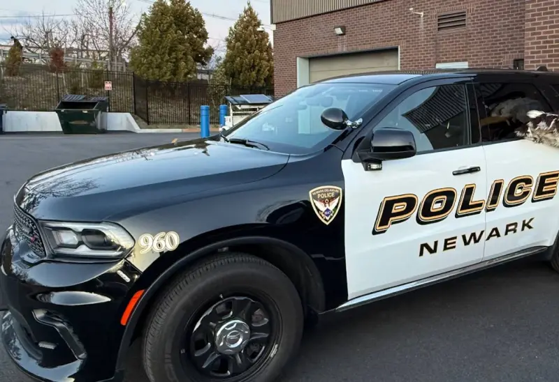 Solicitan ayuda para ubicar a adolescente desaparecida en Newark