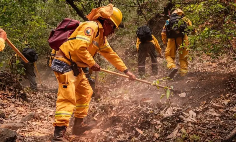 Sin incendios activos en Sinaloa; reportan solo 7 en la temporada