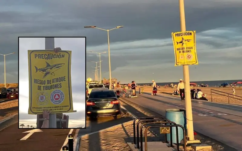 Colocan señalamientos de precaución en Huatabampito tras avistamiento de tiburón