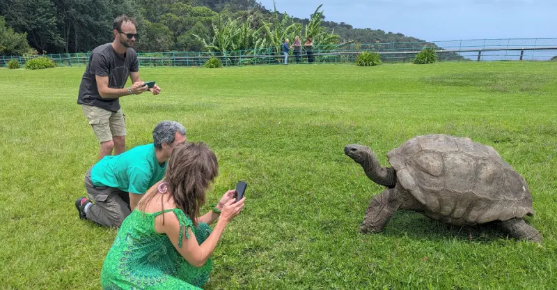 ¿Murió la tortuga más longeva del mundo? Aseguran que la historia fue una estafa
